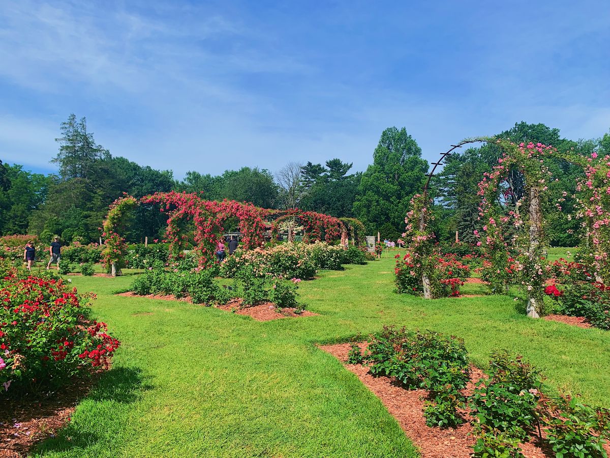 Elizabeth Park overview