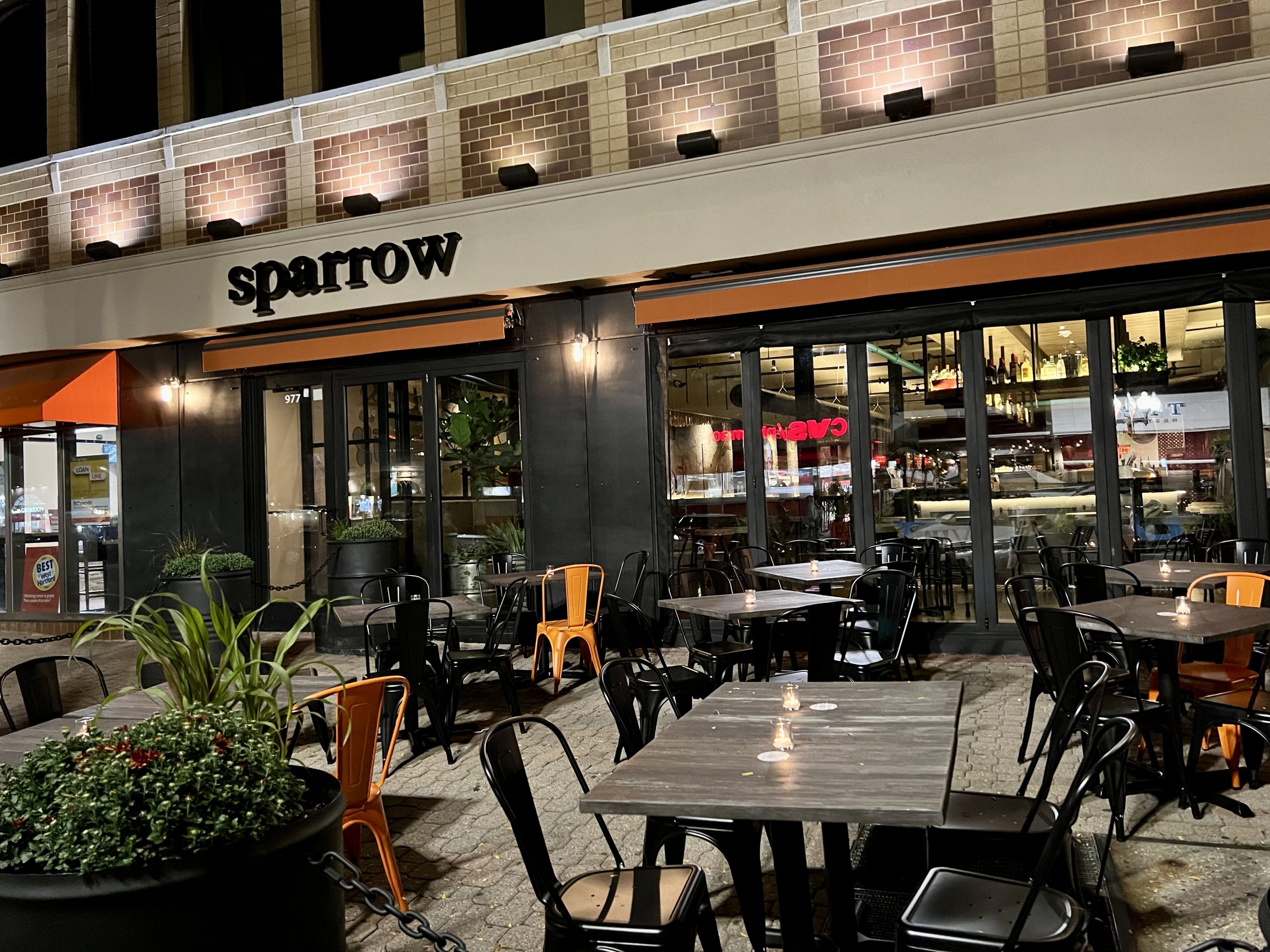 Sparrow at night